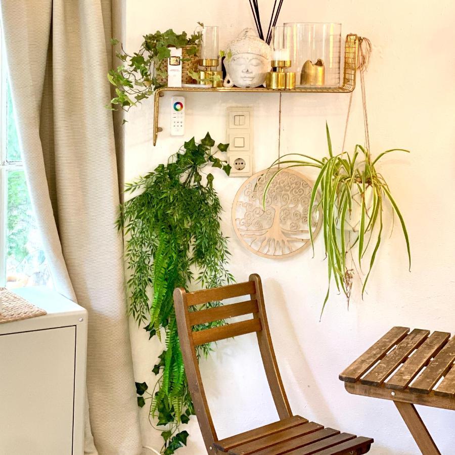 维尔茨堡Little Escape Im Jugendstil Poolhaus - Wc Und Dusche Im Nebenhaus别墅 外观 照片