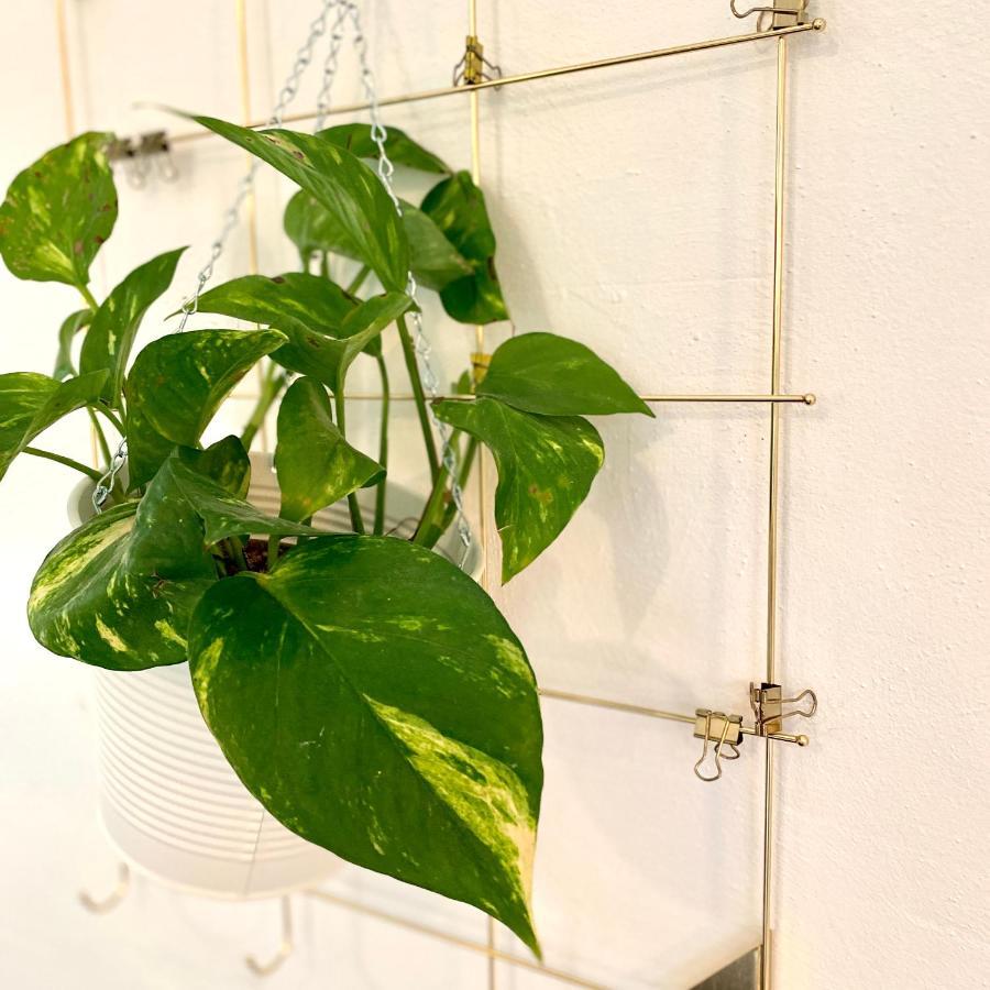 维尔茨堡Little Escape Im Jugendstil Poolhaus - Wc Und Dusche Im Nebenhaus别墅 外观 照片